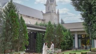 《サマープラン》2026年7-9月★50名180万【最大100万優待】