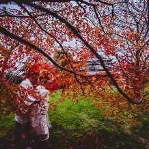 【2026年10月～11月】色づくガーデンが人気の秋婚プラン