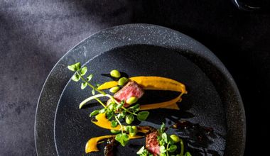 【MIRAIE】顔合わせ食事会プラン