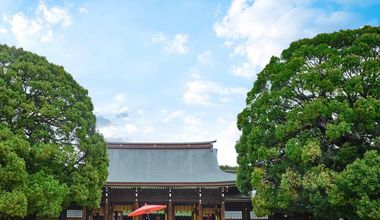 【2026年1,2月のご結婚式を検討の方】挙式+披露宴プラン