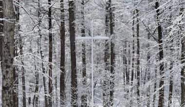 スペシャル3大特典付き！！【～4月限定プラン❅】