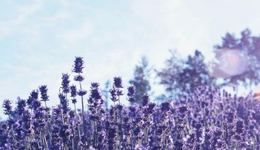 FURANO LOCATION PHOTO TOUR