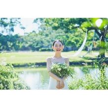 【2027年7～8月限定】サマープラン