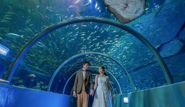 【ご予算重視の方に】自己負担15万円★挙式＆水族館前撮りプラン