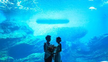 水族館フォトウェディングプラン