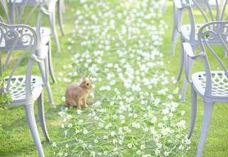 【30名68万】10・11月限定の autumnプラン