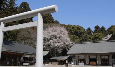 【提携神社で本格神前式】神社挙式×スカイバンケットパーティプラン