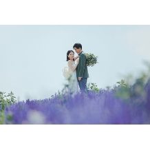 【先着3組様限定 ☆特別価格！】ラベンダーフォトプラン／1泊2食付