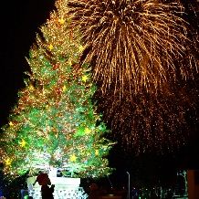 【冬季限定　花火鑑賞プラン】クリスマスウエディングプラン☆