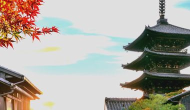 【神社婚プラン｜40名：217万円】日本伝統の神前式が叶う通年適用プラン