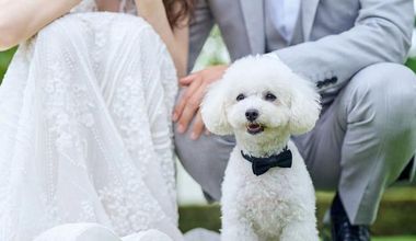 【最大60万円特典】今ならお得な特典付きの人気プラン★27年5月~27年6月に結婚式実施の方へ