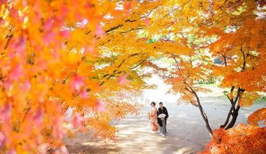 総社「秋婚プラン」が登場！