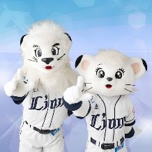11月以降の方【Happy Blue Lions Wedding】趣味の野球も両親への感謝も叶う！