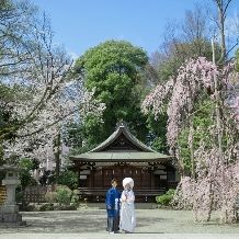 梅・桜から新緑の季節に　和装ロケフォトプラン