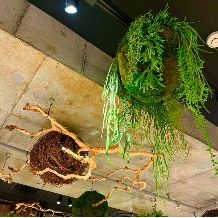 〈40名122万円〉◆必要なアイテムは全部コミ☆オールインワンお披露目会プラン◆