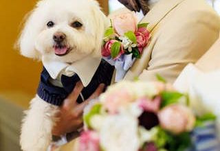 1日1組限定 ペットと一緒の挙式&披露宴が叶うWedding