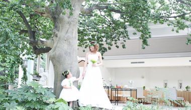 【前撮り撮影が無料】プレミアム モチの木プラン