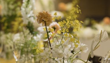 【和婚披露宴のみ】憧れの花嫁衣装でご披露宴プラン【一日一組貸しきり】