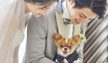 【ペットと一緒に結婚式】☆挙式もパーティ会場もペットOK☆
