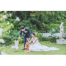 【ペット婚】愛犬と一緒の結婚式■最大11(わんわん)特典付