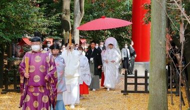 挙式のみご希望の方へ、迷わず選べる"全部込み"プラン【40名43万】
