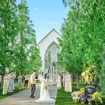 【来年春の結婚式をご希望の方限定の今だけ早割プラン】27年3月～5月のスプリング特別プラン♪