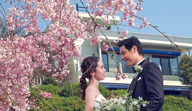 ≪完売間近≫【最大80万円特典】今注目の特別価格プラン★26年5月までの結婚式実施の方へ