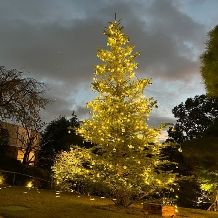 【クリスマスプラン】2026年12月