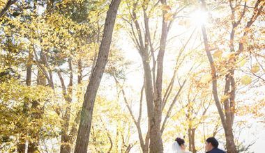 【春秋2ヶ月全日適用◎】4月、11月限定 マンスリープラン