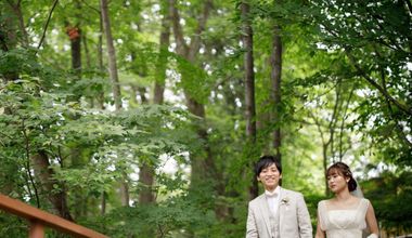 7月8月限定サマープラン