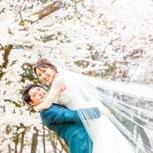 【27年4月以降結婚式ご希望の方】早期予約特典付き＊8.8万円プラン