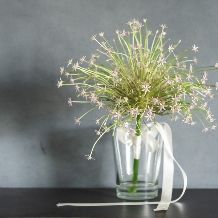 【大人数＊70名／挙式＋披露宴】IWAI STYLE #70 ＜1年半以内＞