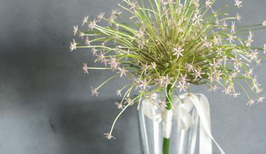 【70名／挙式＋披露宴】IWAI STYLE #70 ＜1年半以内＞