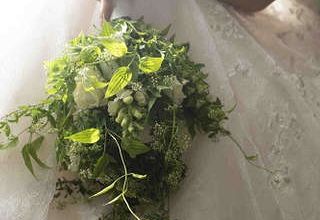 【お料理重視のカップル様必見！】スペシャルプラン