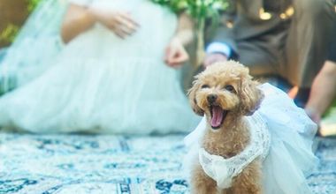 【withペット|通年OK】大切な家族と迎える結婚式【最大68万円優待】