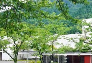 【20名様　食事会のみ】