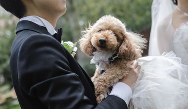 【前撮りプラン付き】大切なご家族と一緒に* ペットウェディングプラン