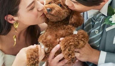 【愛犬愛猫と一緒に】一軒家貸切ペットwedding◆挙式＆会食プラン(20名173万円→99万円)