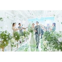 【60名228万円】27年5月～7月/早割☆スプリングープラン最大75万優待