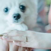 【最大80万円ご優待】2027年6月まで＜ペット婚プラン＞