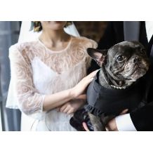 【WITHペット婚】大切な愛犬とずっと一緒に過ごせるプラン