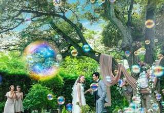 *★特別プラン★*【2026年10月迄がお得！＼120名294万円／】