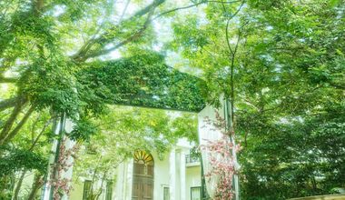 【少人数・30名会食プラン】内容充実・お得なパックプランは必見！◆26年12月までの結婚式実施の方へ