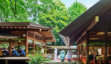 【通年】国際結婚プラン~International Marriage Plan~≪50名≫
