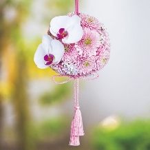 家族・少人数婚《20名95万円》お披露目weddingプラン