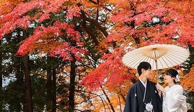 【20名98万円◆嬉しい特典つき】 2026秋のお食事会プラン