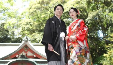 「高品質・低価格」のスタンダードプラン