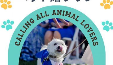 【挙式もパーティーも参加OK！20万円特典】ペットと一緒にウエディング