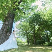 サマープラン◆26年7月・8月限定【60名285万円】53万円特典付