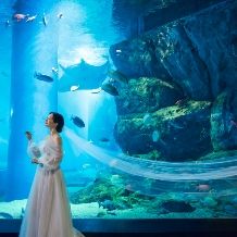 海の世界で叶える水族館フォト&会食プラン